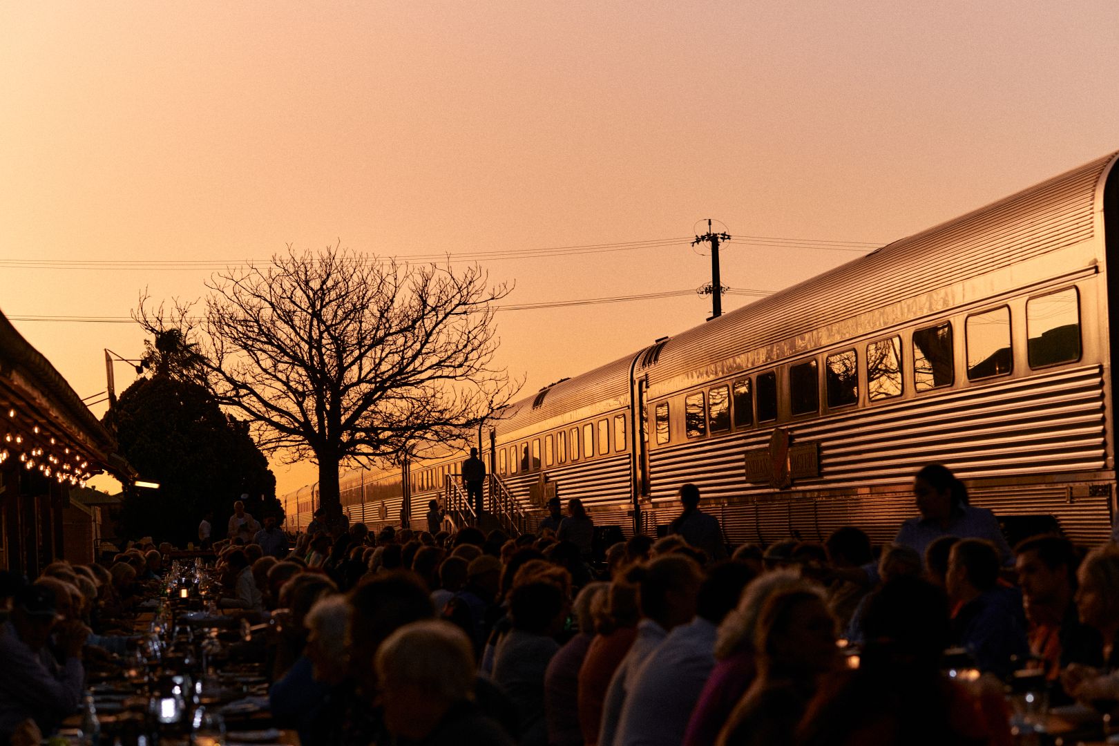 The Indian Pacific Coast to Coast 2027 Perth to Sydney