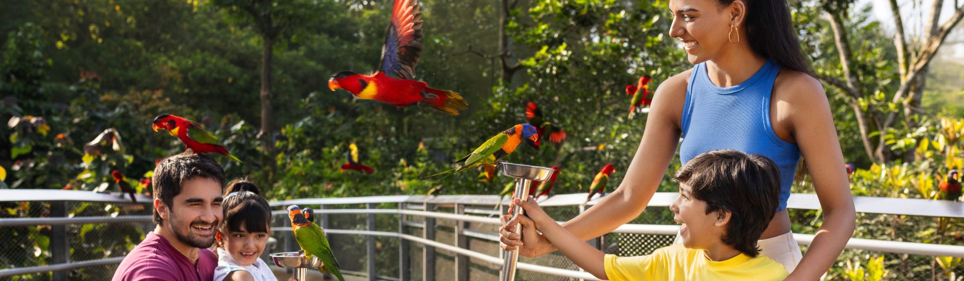 Family of 2 parents and 2 kids surrounded by colourful parrots during feeding time at Bird Paradise in Singapore
