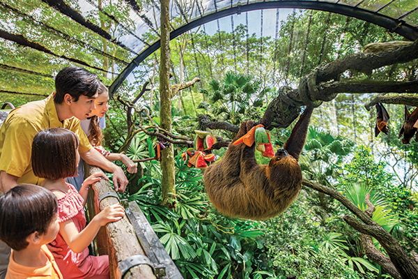 Sentosa Escape &amp; Singapore Zoo: Family Offer