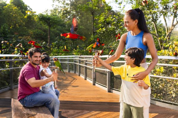 Singapore for Nature &amp; Shopping