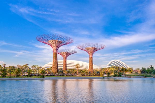 Gardens By The Bay - Floral Bundle & Jurassic World