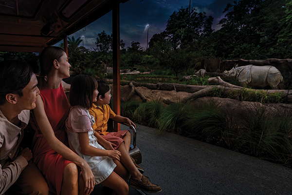 4.5 Hours Night Safari