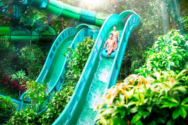 Adventure Cove Waterpark with One-way Transfer