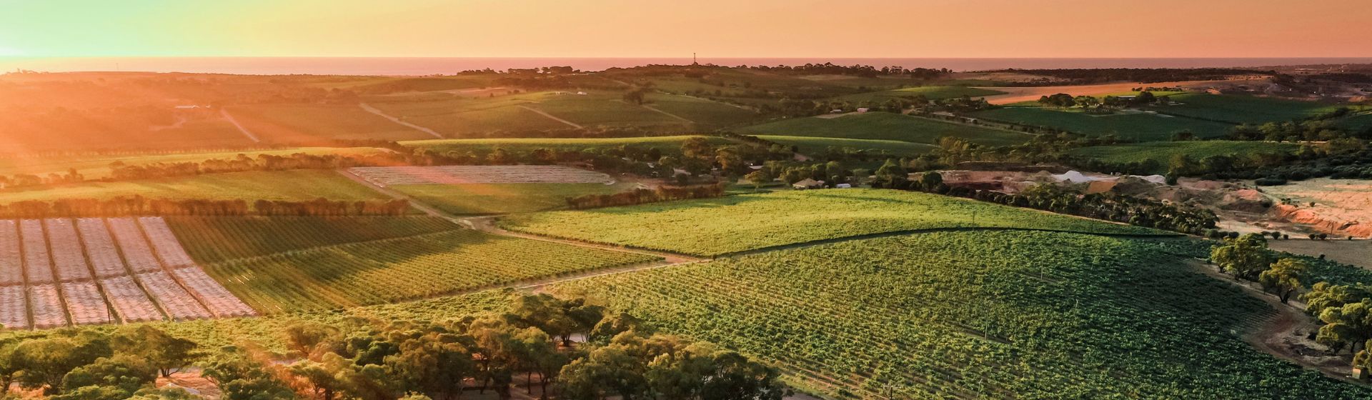 Sunset over a wineyard and d'Arenburg Cube, McLaren Vale in South Australia