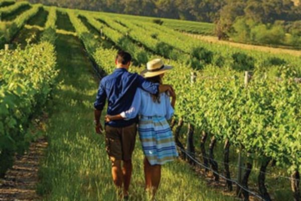 Margarets In Town Apartments