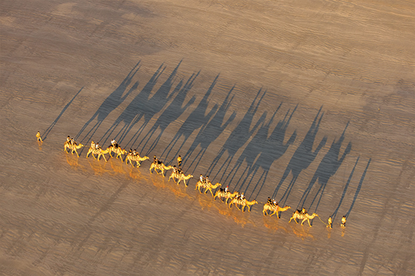 Sunset Camel Tour - 1 Hour