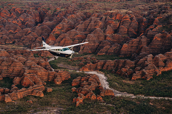 Bungle Bungle Adventurer (C)