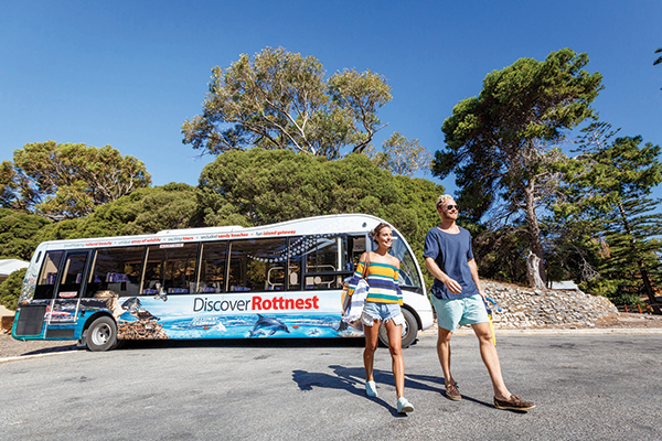 Discover Rottnest Ferry & Bus Tour